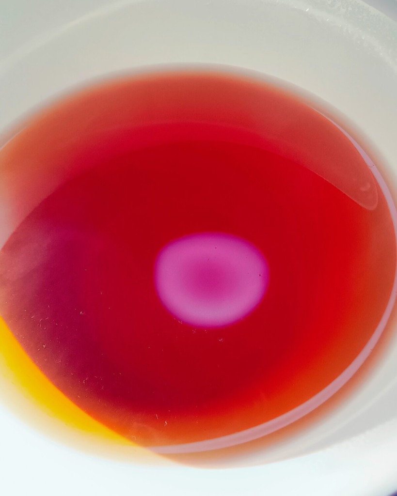 天日干し紅茶 ふうしゅん 水色